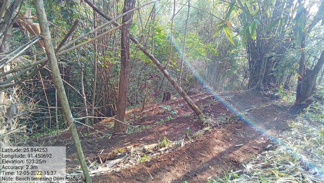 G:\VILLAGE REPORT PICTURES\JIRANG BLOCK\Belaheri\WhatsApp Image 2023-02-03 at 11.49.49.jpeg